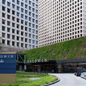 C. Baldwin, Curio Collection by Hilton