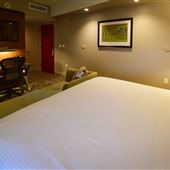 The Sam Houston, Curio Collection by Hilton