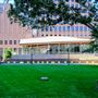 Lynn Wyatt Square