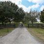 Havenly Farm