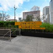 Lynn Wyatt Square