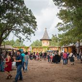 Texas Renaissance Festival