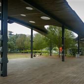Levy Park