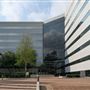 Vivaverse Campus