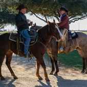 Texas Ranch Life