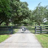 Havenly Farm (Summer)