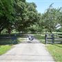 Havenly Farm (Summer)