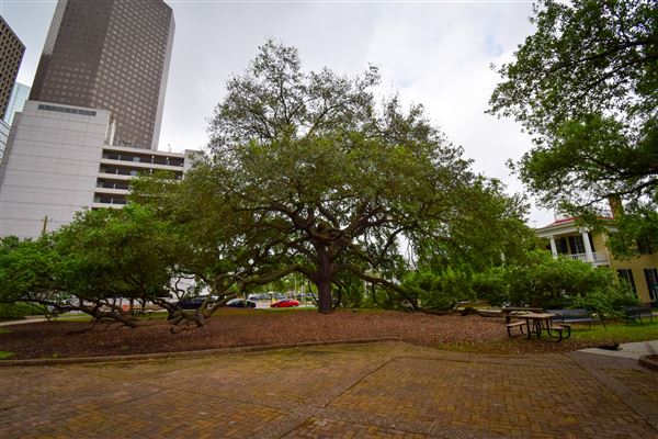 The Heritage Society at Sam Houston Park (4/6/2021 - Credits: Houston Film Commission)