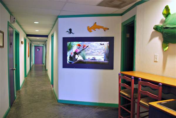 South Coast Media Services